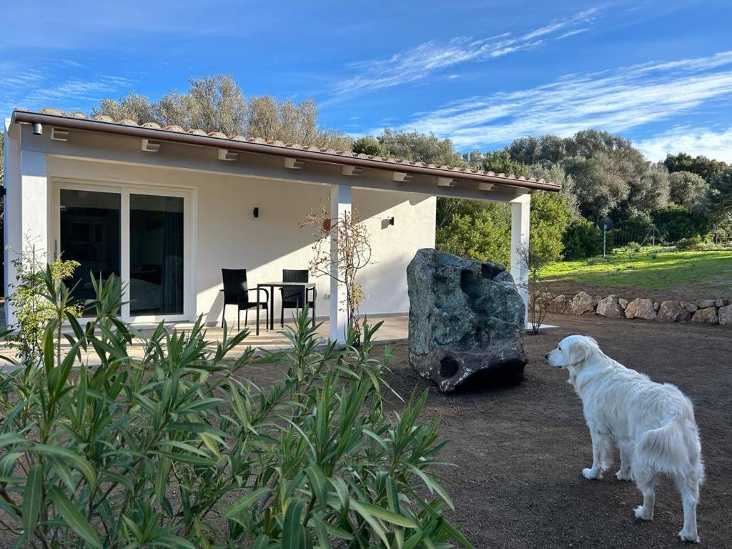 La Piana Holiday House Bassacutena 外观 照片