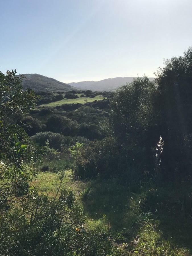 La Piana Holiday House Bassacutena 外观 照片